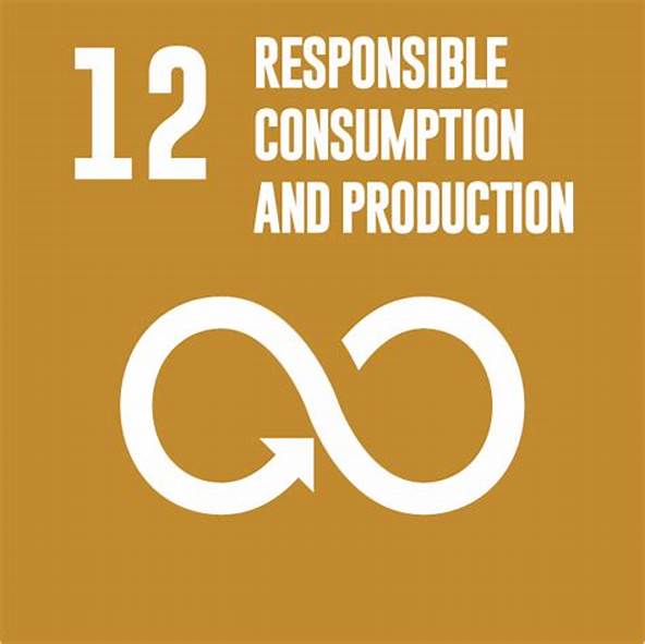 United Nations Sustainable Development Goal 12; Responsible consumption and production